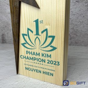 Cúp ngôi sao tôn vinh Phạm Kim 3