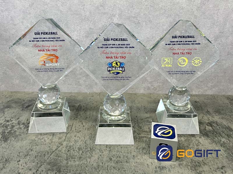 kỷ niệm chương Pickleball 1 kỷ niệm chương Pickleball 1