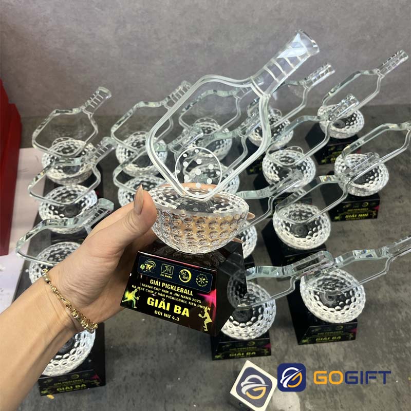 kỷ niệm chương Pickleball 2 kỷ niệm chương Pickleball 2