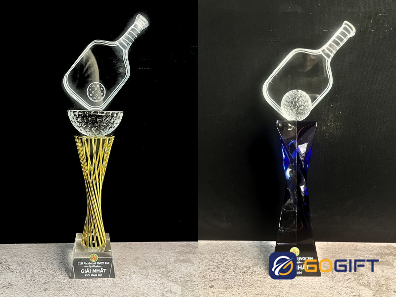 kỷ niệm chương Pickleball 3 kỷ niệm chương Pickleball 3