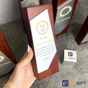 Cúp thiết kế vinh danh cống hiến Everlife 3