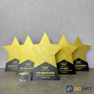 Cúp thiết kế VIP Việt Nga 2025 3