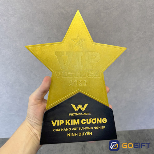 Cúp thiết kế VIP Việt Nga 2025 4