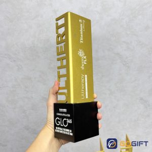 Cúp thiết kế Inamed 2