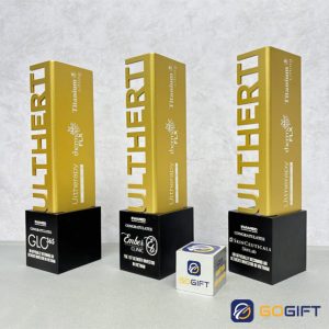 Cúp thiết kế Inamed 3