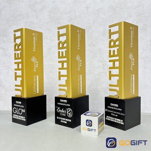 Cúp thiết kế Inamed 3